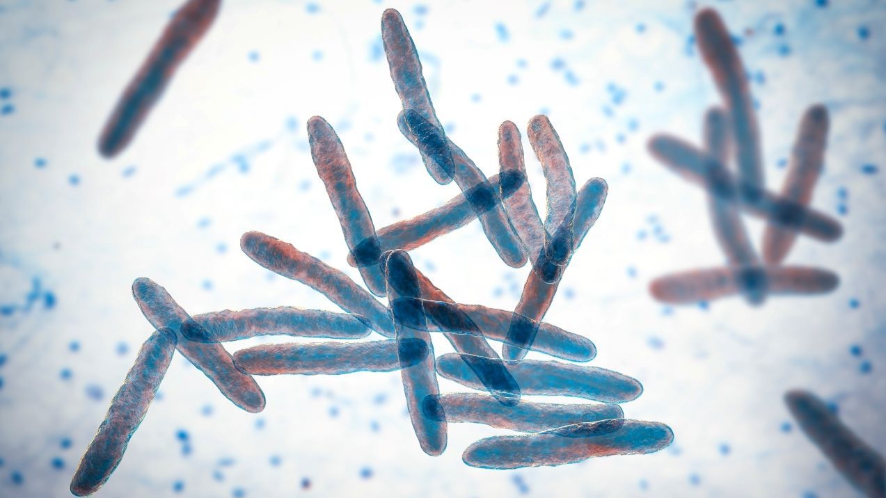 Mycobacterium ulcerans (Photo: AdobeStock/Swiss TPH) Mycobacterium ulcerans (Photo: AdobeStock/Swiss TPH)